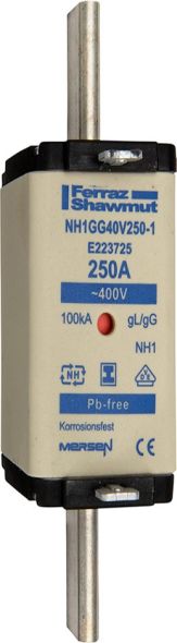 Sicherungseinsatz NH gG NH1GG40V80-1
