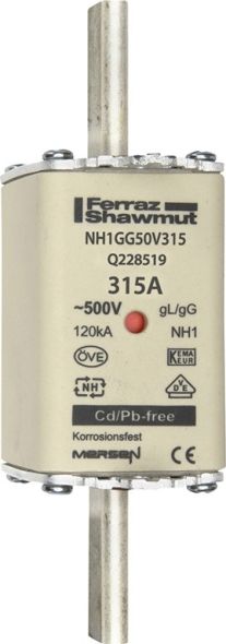 Sicherungseinsatz NH gG NH1GG50V315