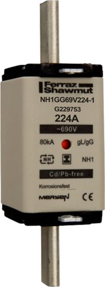 Sicherungseinsatz NH gG NH1GG69V224-1