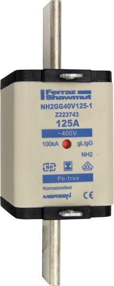 Sicherungseinsatz NH gG NH2GG40V125-1