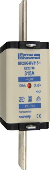 Sicherungseinsatz NH gG NH2GG40V355-1