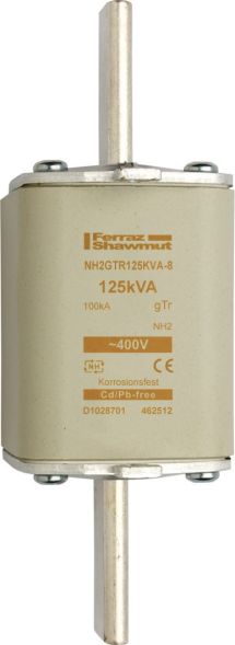 Sicherungseinsatz NH gTr NH2GTR100KVA-8