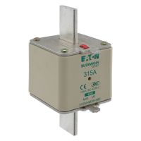 Sicherungseinsatz Nieders. 315NHM3B-690