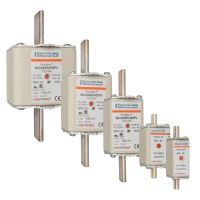 NH-Sicherungseinsatz NH000GS69V20PV