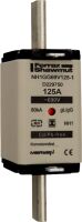 NH-Sicherungseinsatz SG NH1GG69V125-1