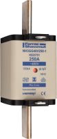 Sicherungseinsatz NH gG NH3GG40V250-1