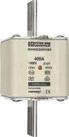 Sicherungseinsatz NH4AGG50V800