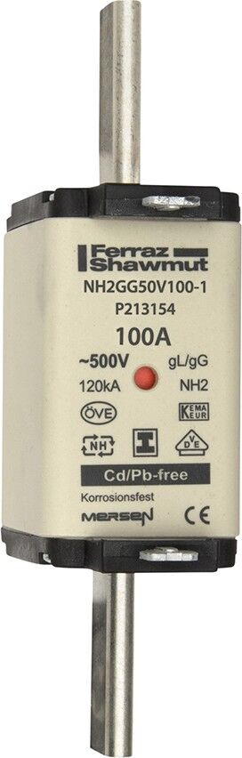NH-Sicherungseinsatz NH2GG69V100-1