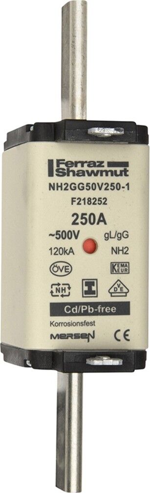NH-Sicherungseinsatz NH2GG69V300-1