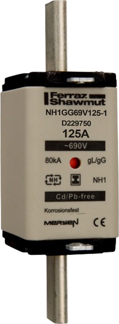 NH-Sicherungseinsatz SG NH1GG69V125-1