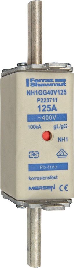 Sicherungseinsatz NH gG NH1GG40V160