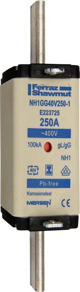Sicherungseinsatz NH gG NH1GG40V50-1