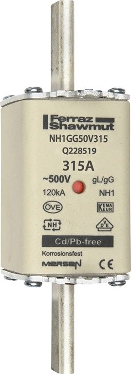 Sicherungseinsatz NH gG NH1GG50V315