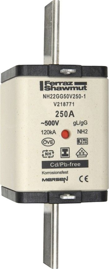 Sicherungseinsatz NH Sond. NH22GG50V250-1