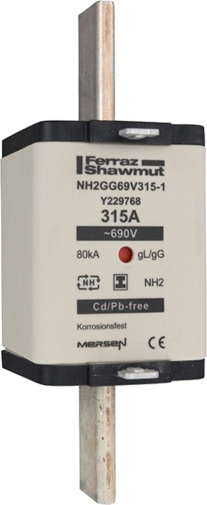 Sicherungseinsatz NH2GG69V250-1