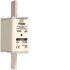 NH-Sicherung NH1 gG 690V LNH1125M6
