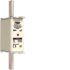NH-Sicherung NH1C gG LNH1080M6