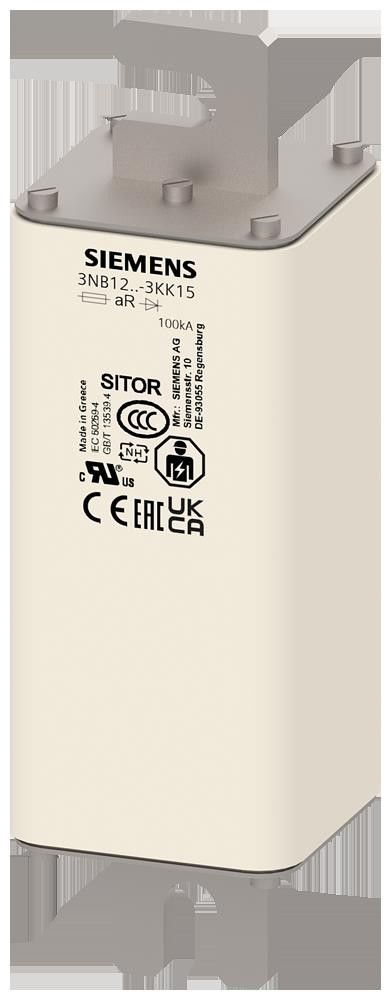 SITOR-Sicherungseinsatz 3NB1224-3KK15