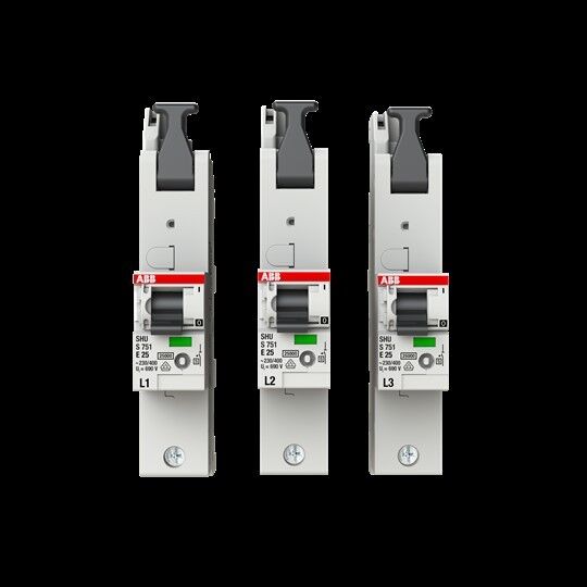Hauptsicherungsautomat S751-E25