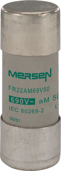 Sicherungseinsatz zyl. FR22AM69V50