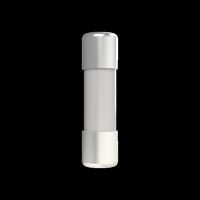 Zylindrische Sicherung E 9F10 GG6