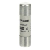 Zylindrische Sicherung E 9F14 GG25