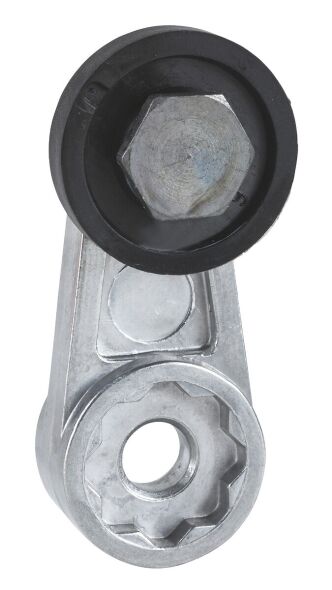 Endschalterhebel ZCKY19