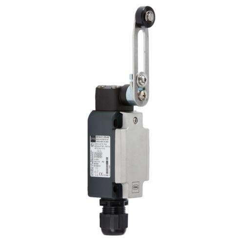 Drehhebel einstellbar 8074/2-1-DS-40