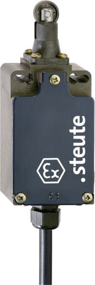 Endschalter Ex T 356 R-1Ö/1S -5m