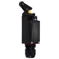 Positionsschalter 254886