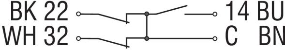 Sicherheits-Sensor BNS 120-12Z