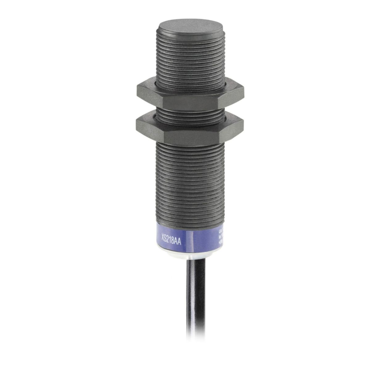 Näherungsschalter induktiv XS218AAPAL10