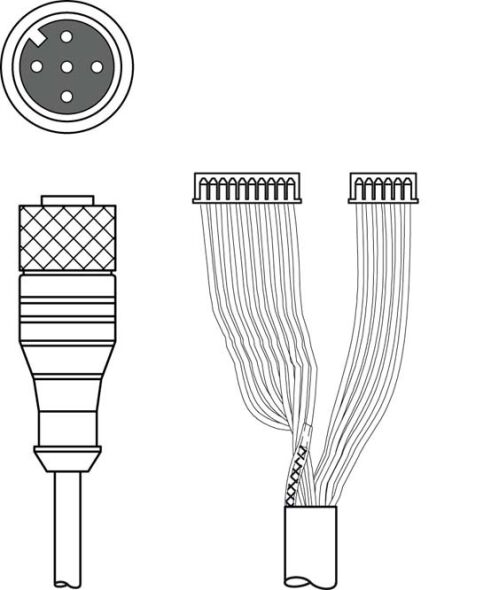 Verbindungsleitung K-DS M12A-M#50115049