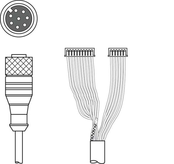 Verbindungsleitung K-DS M12A-M#50115050