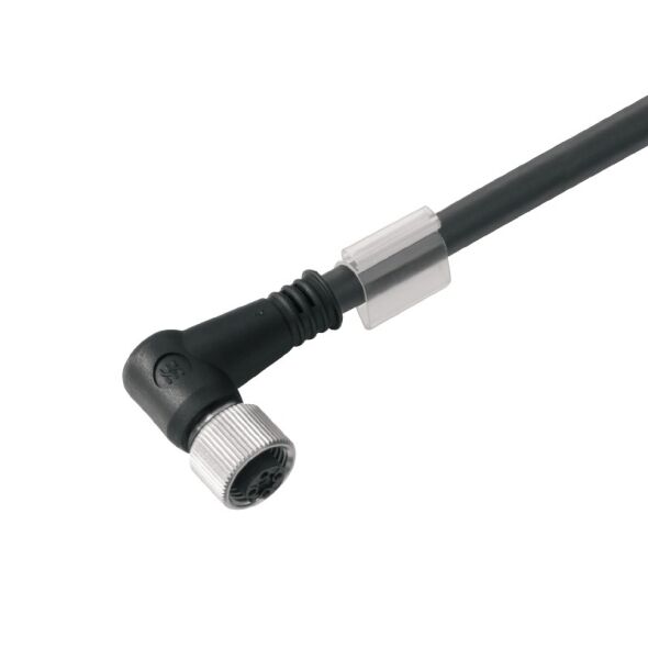 Sensor-Aktor-Leitung SAIL-M12BW-4S80U