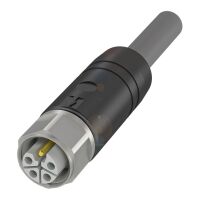 Anschlussleitung BCC S415-000#BCC0LKP