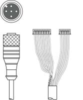 Anschlussleitung KB JST-M12A-5P-3000