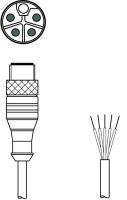 Anschlussleitung KD PL-M12-5#50143056