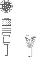 Anschlussleitung KD S-M12-CA-P1-050