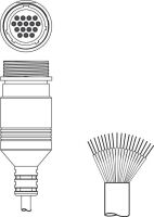 Anschlussleitung KD S-M30-16A-V1-050