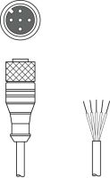 Anschlussleitung KD U-M12-5A-V1-300