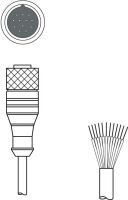 Anschlussleitung KD U-M23-CA-P1-100