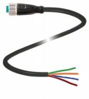 Kabeldose V19-G-BK1M-P#309157
