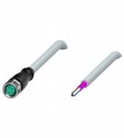 Kabeldose V31-GM-5M-PVC-ABG