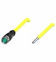 Kabeldose V31-GM-YE2M-PVC-U