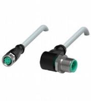 Verbindungskabel V31-GM-2M-PVC-V11-W