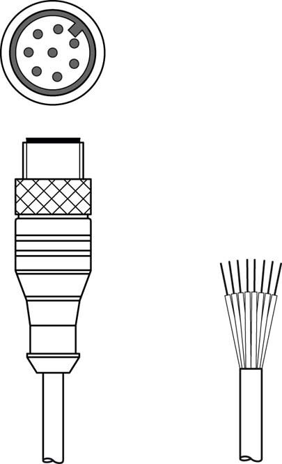 Anschlussleitung KS S-M12-8A-P1-300