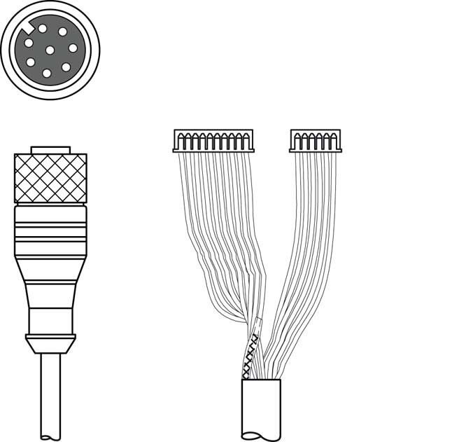 Verbindungsleitung K-DS M12A-M#50115050