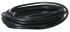 3m Kabel M12-C31