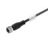 Sensor-Aktor-Leitung SAIL-M12BG-4-55U